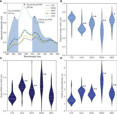 Frontiers | Flavin Fluorescence Lifetime And Autofluorescence Optical ...